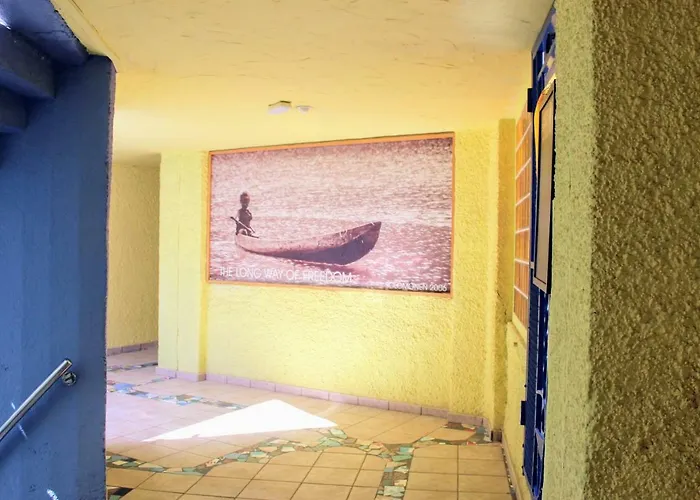 Bougainvillea Bamira